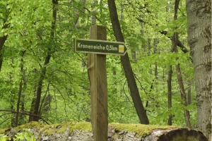 201705-buchenwald-chorin-02-markierung-kroneiche
