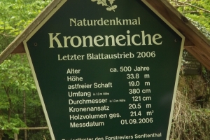 201705-buchenwald-chorin-03-schild-kroneiche-hoch