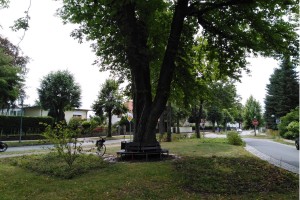Radtour Ladeburg: Kreuzung Kirchplatz