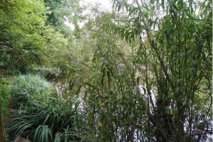 Radtour Ladeburg:  Dorfteich (Nähe Schäferpfuhl)
