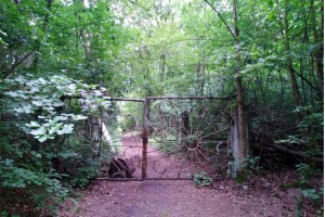 Wanderung Nähe Lager Koralle: Toreinfahrt