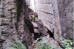 Wanderung Lager Koralle (Wandlitz OT Lanke)