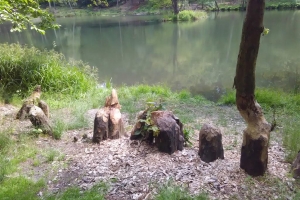 20170605-badfreienwalde-ahrendskehle (10)