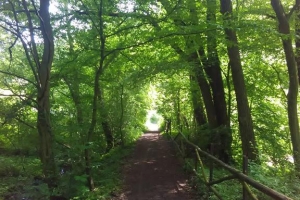 20170605-badfreienwalde-ahrendskehle (15)
