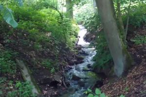20170605-badfreienwalde-ahrendskehle (17)