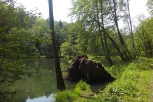 20170605-badfreienwalde-ahrendskehle (3)