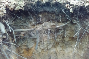 20170605-badfreienwalde-ahrendskehle (9)