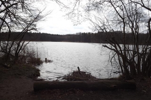2016-04_hellmuehler_rundweg_(11)