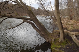 2016-04_hellmuehler_rundweg_(17)