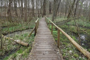 2016-04_hellmuehler_rundweg_(24)