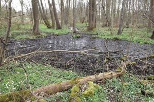 2016-04_hellmuehler_rundweg_(25)