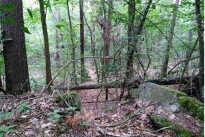 Wanderung Nähe Lanke / Lobetal: Eingang zum Lager Koralle
