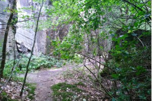 Wanderung Nähe Lanke / Lobetal: Tief im Wald das Lager Koralle