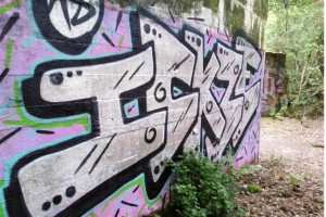 Wanderung Nähe Lanke / Lobetal: Bemalte Ruine vom Lager Koralle
