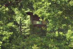 Hochstand im Barnim