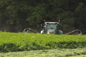 Traktor im Barnim #03