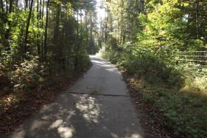 schorfheide_10