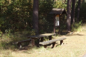 schorfheide_11