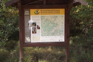 schorfheide_12