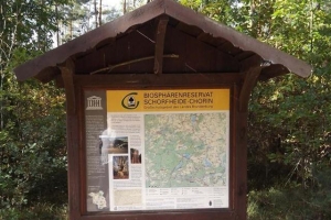 schorfheide_13