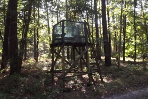 schorfheide_19