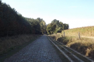 schorfheide_2