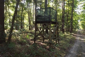 schorfheide_20