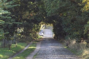 schorfheide_21