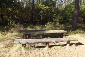 schorfheide_23