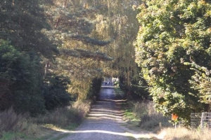schorfheide_3