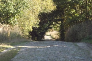 schorfheide_4