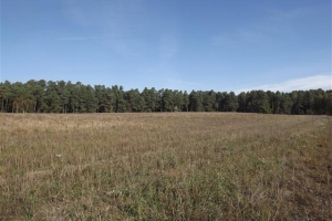 schorfheide_5
