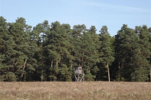 schorfheide_6