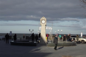 binz_2015_12