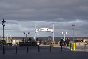 binz_2015_13