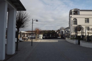 binz_2015_14