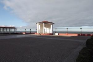 binz_2015_15