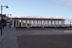 binz_2015_16