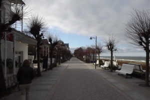 binz_2015_20