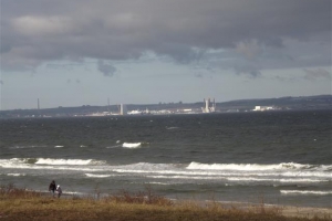 binz_2015_21