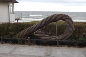 binz_2015_26