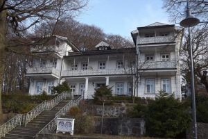 binz_2015_3
