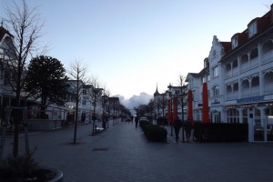 binz_2015_36