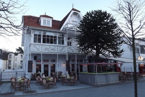 binz_2015_37