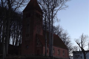 binz_2015_42