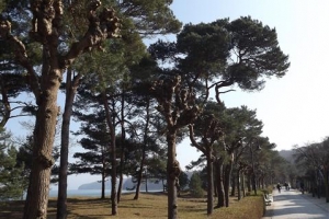 binz_ruegen_maerz_2016 (72)