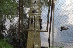 201605-mol-hennickendorf_(106)