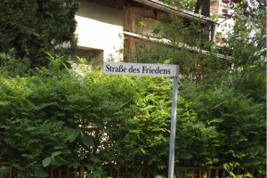201605-mol-hennickendorf_(140)