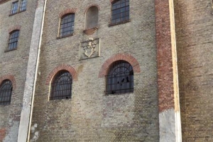 spechthausen_2012_5