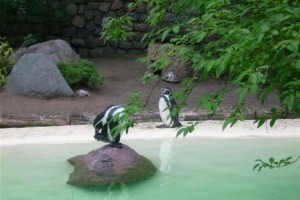 zoo_eberswalde_2008_01